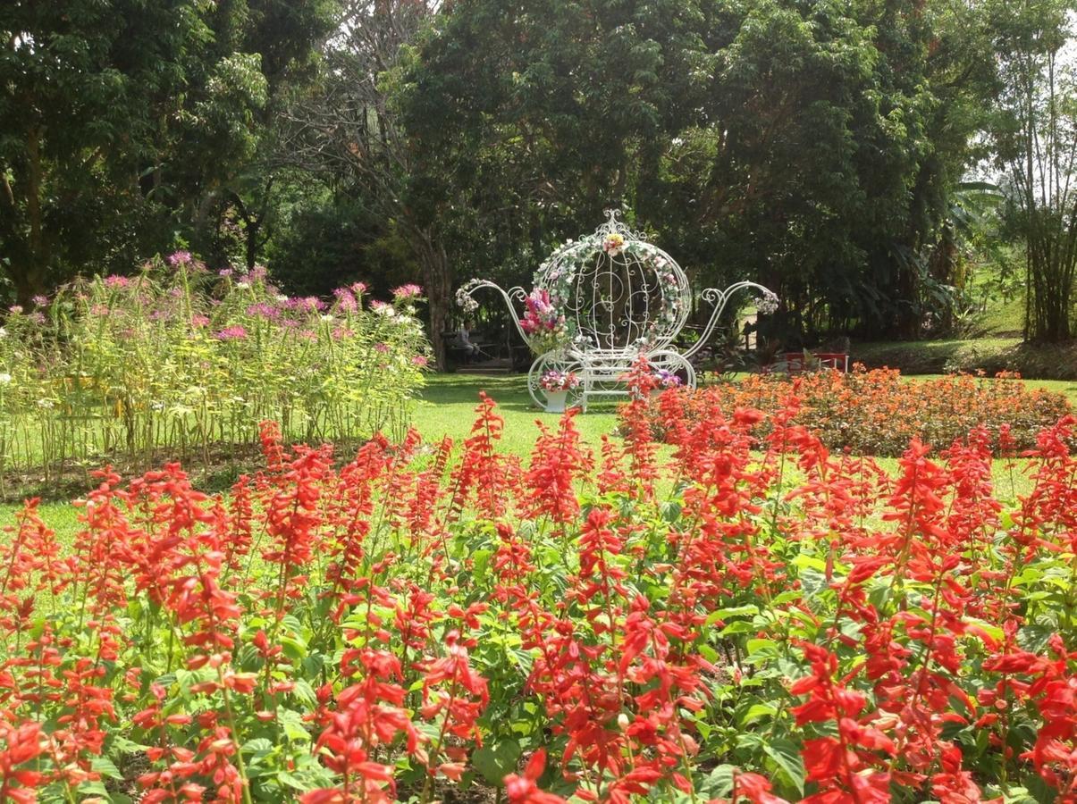 Mae Sa Valley Garden Resort Ban Mae Mae Luaran gambar